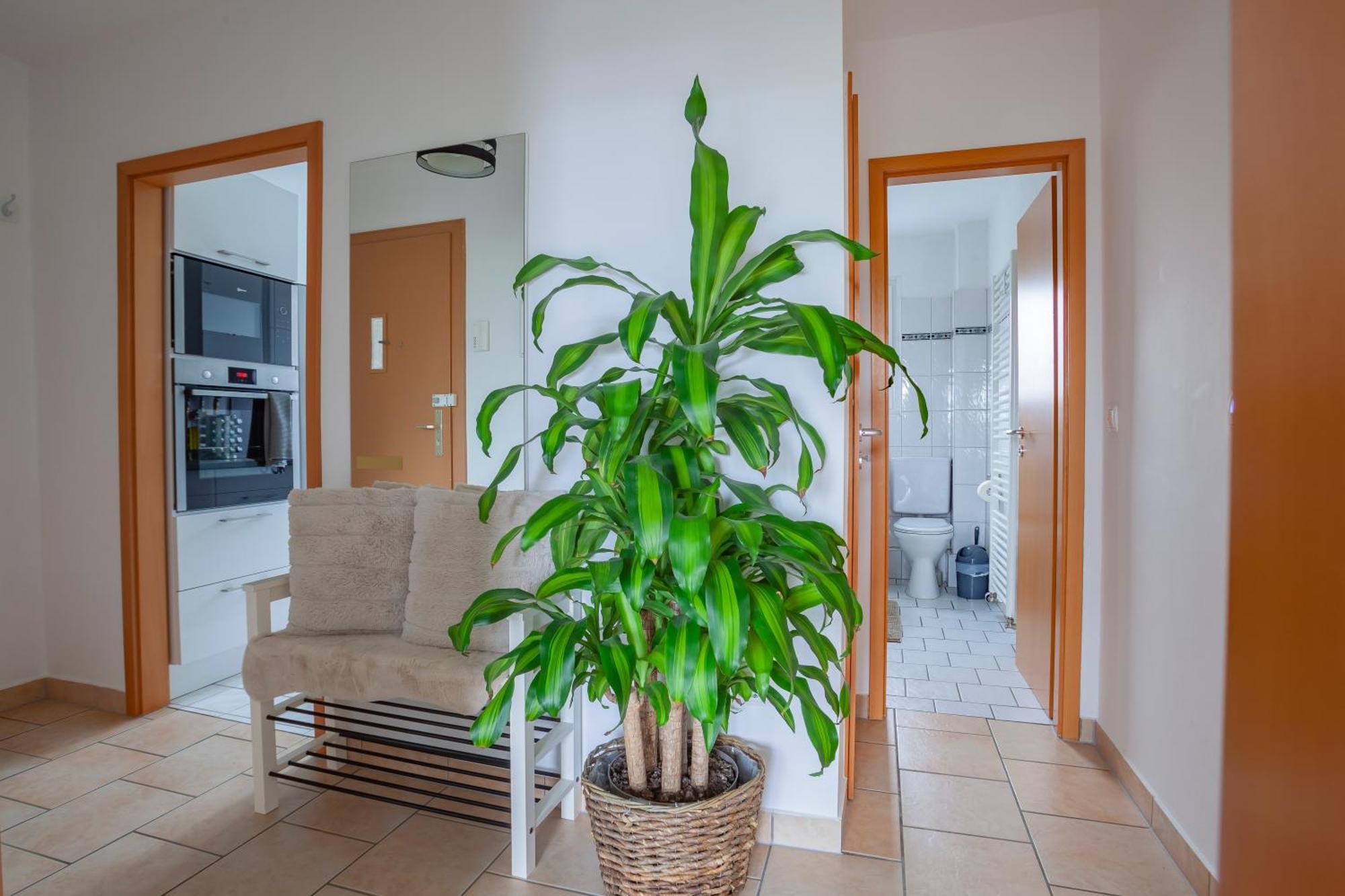 Exclusive 2-Room-City-Apartment - Contactless Check-In هانوفر المظهر الخارجي الصورة